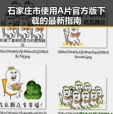 石家庄市使用A片官方版下载的最新指南
