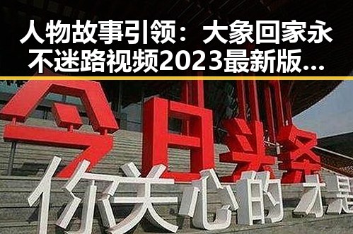 人物故事引领：大象回家永不迷路视频2023最新版的感人瞬间