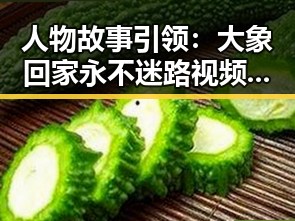 人物故事引领：大象回家永不迷路视频2023最新版的感人瞬间