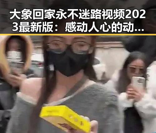 大象回家永不迷路视频2023最新版：感动人心的动物救援故事