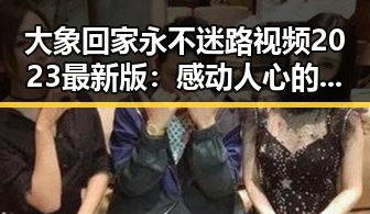 大象回家永不迷路视频2023最新版：感动人心的动物救援故事