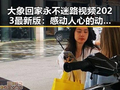大象回家永不迷路视频2023最新版：感动人心的动物救援故事