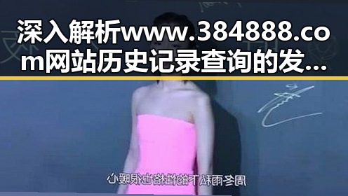 深入解析 www.384888.com网站历史记录查询 的发展与应用