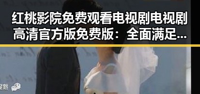 红桃影院免费观看电视剧电视剧高清官方版免费版：全面满足观影需求的最佳选择