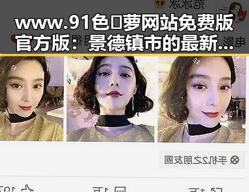 www.91色😍萝网站免费版官方版:景德镇市的最新发展与应用