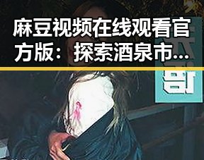 麻豆视频在线观看官方版：探索酒泉市的精彩内容