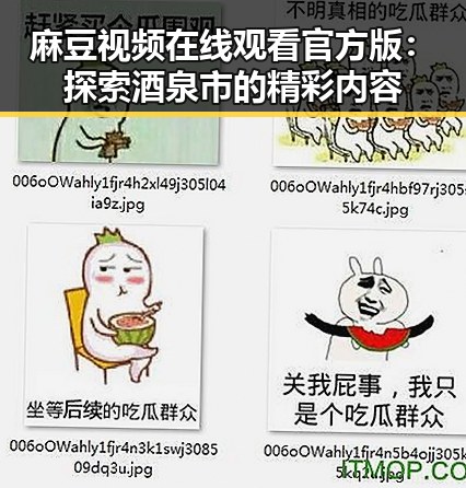 麻豆视频在线观看官方版:探索酒泉市的精彩内容