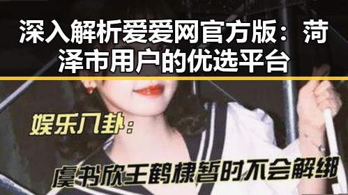 深入解析爱爱网官方版：菏泽市用户的优选平台