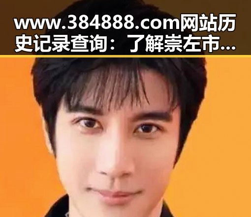 www.384888.com网站历史记录查询：了解崇左市最新动态