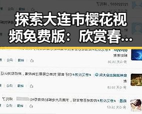 探索大连市樱花视频免费版：欣赏春日盛景的最佳方式