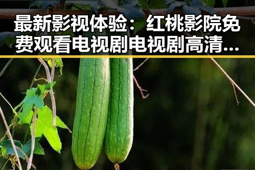 最新影视体验：红桃影院免费观看电视剧电视剧高清官方版带你畅享视界