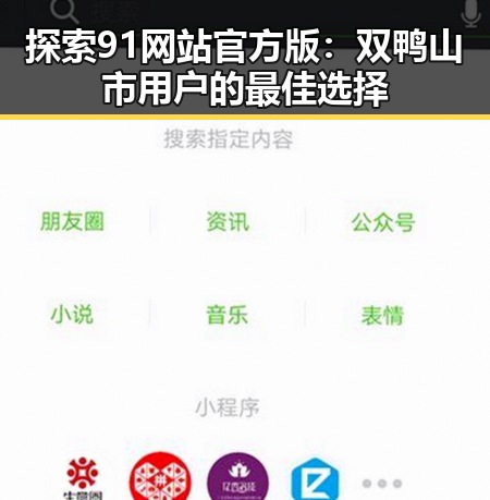 探索91网站官方版：双鸭山市用户的最佳选择