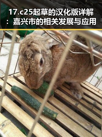 17.c25起草的汉化版详解：嘉兴市的相关发展与应用