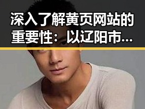 深入了解黄页网站的重要性：以辽阳市为例