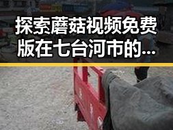 探索蘑菇视频免费版在七台河市的应用与发展
