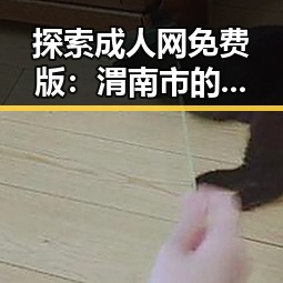 探索成人网免费版：渭南市的网络资源现状