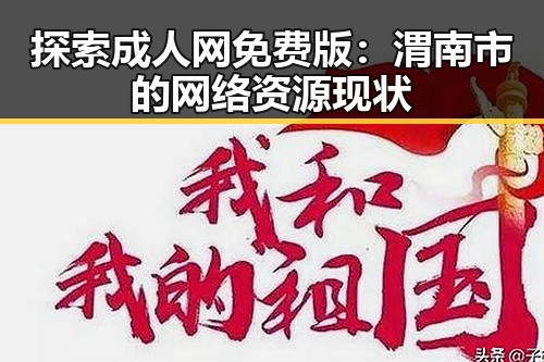 探索成人网免费版：渭南市的网络资源现状