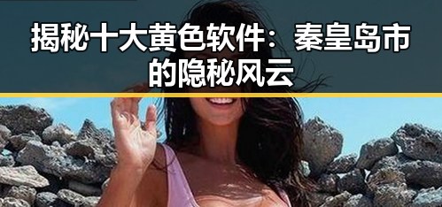 揭秘十大黄色软件：秦皇岛市的隐秘风云