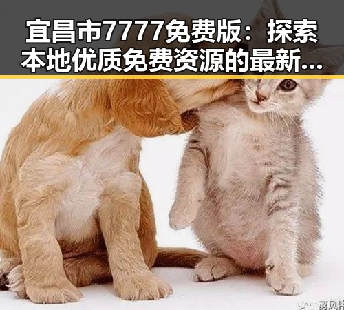 宜昌市7777免费版：探索本地优质免费资源的最新选择