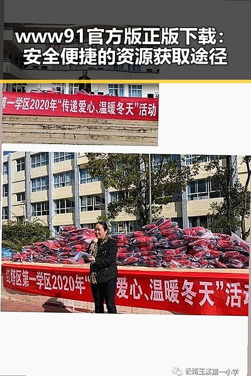 www91官方版正版下载：安全便捷的资源获取途径