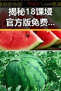 揭秘18馃埐官方版免费版：庆阳市最新资讯