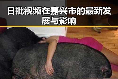 日批视频在嘉兴市的最新发展与影响