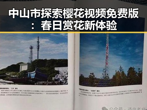中山市探索樱花视频免费版：春日赏花新体验