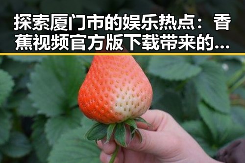 探索厦门市的娱乐热点：香蕉视频官方版下载带来的新体验