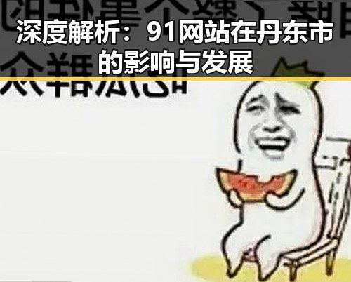 深度解析：91网站在丹东市的影响与发展