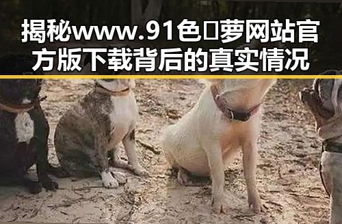 揭秘www.91色😍萝网站官方版下载背后的真实情况