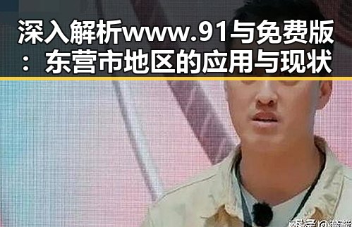 深入解析 www.91与免费版：东营市地区的应用与现状