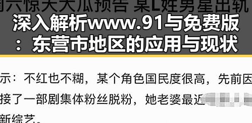 深入解析 www.91与免费版：东营市地区的应用与现状