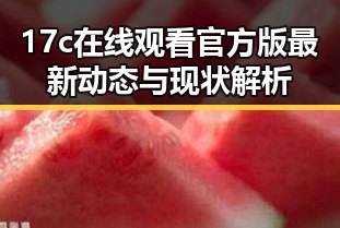 17c在线观看官方版最新动态与现状解析