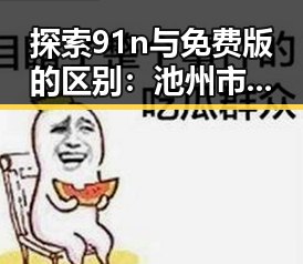 探索91n与免费版的区别：池州市用户的实际体验