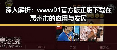 深入解析：www91官方版正版下载在惠州市的应用与发展