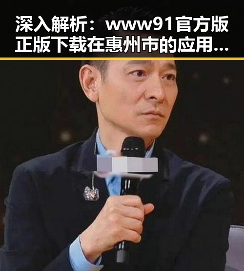 深入解析：www91官方版正版下载在惠州市的应用与发展