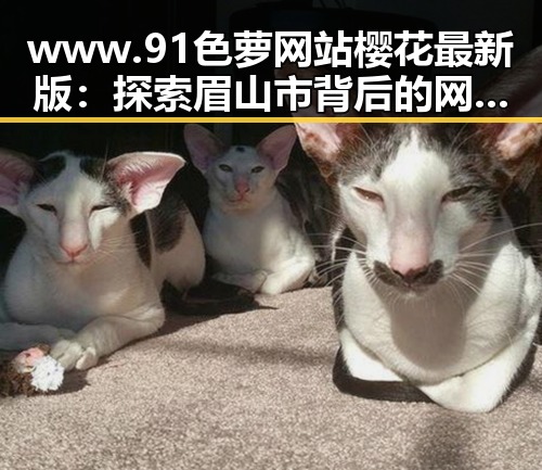 www.91色 萝网站樱花最新版：探索眉山市背后的网络文化新动态