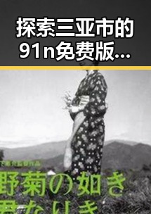 探索三亚市的91n免费版：旅游体验的全新选择