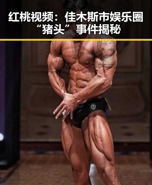 红桃视频：佳木斯市娱乐圈“猪头”事件揭秘