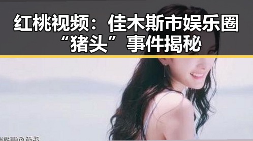 红桃视频：佳木斯市娱乐圈“猪头”事件揭秘