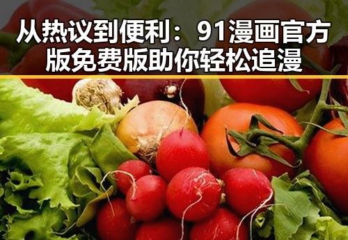 从热议到便利：91漫画官方版免费版助你轻松追漫