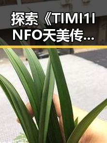 探索《TIMI1INFO天美传媒在线观看》免费高清在线播放全集的精彩内容