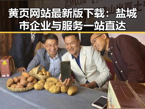 黄页网站最新版下载：盐城市企业与服务一站直达