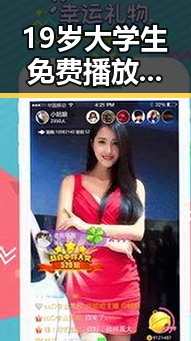 19岁大学生免费播放电视剧美国官方版:探索年轻人的娱乐新趋势
