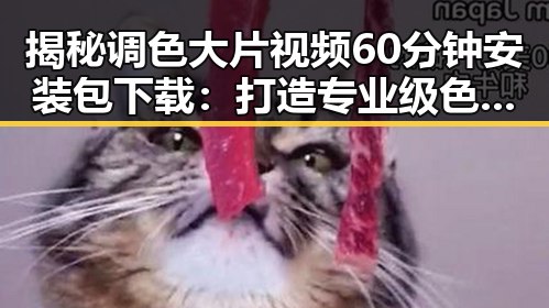 揭秘调色大片视频60分钟安装包下载:打造专业级色彩效果的必备工具