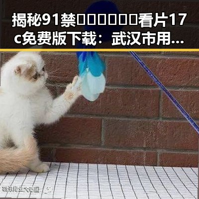 揭秘91禁🍆🍑🔞❌❌❌看片17c免费版下载：武汉市用户的最新选择