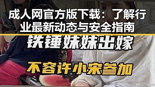 成人网官方版下载：了解行业最新动态与安全指南