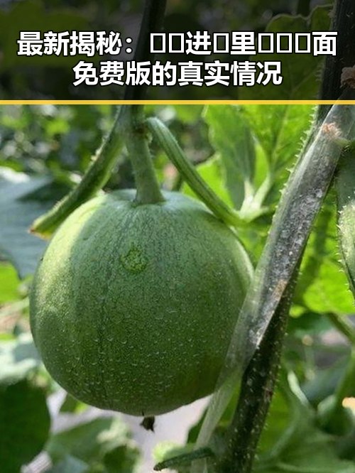 最新揭秘：🔞🍌进🍑里❌❌❌面免费版的真实情况