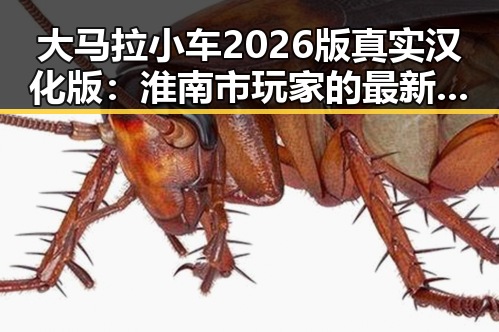 大马拉小车2026版真实汉化版：淮南市玩家的最新热议