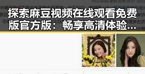探索麻豆视频在线观看免费版官方版：畅享高清体验的全新选择
